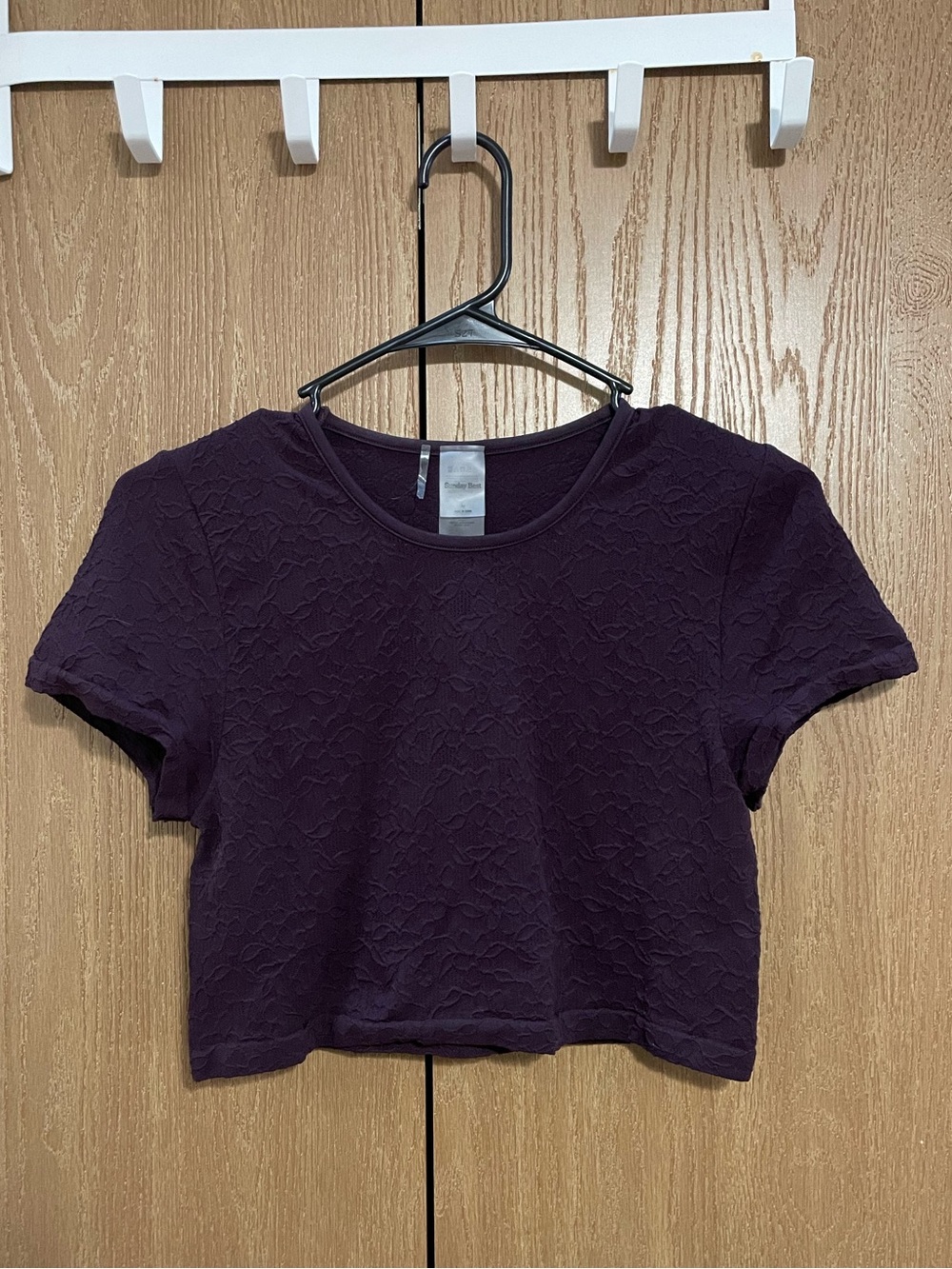 Aritzia Sunday Best Plum Crop Top